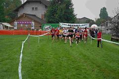 Taleines 2008-011